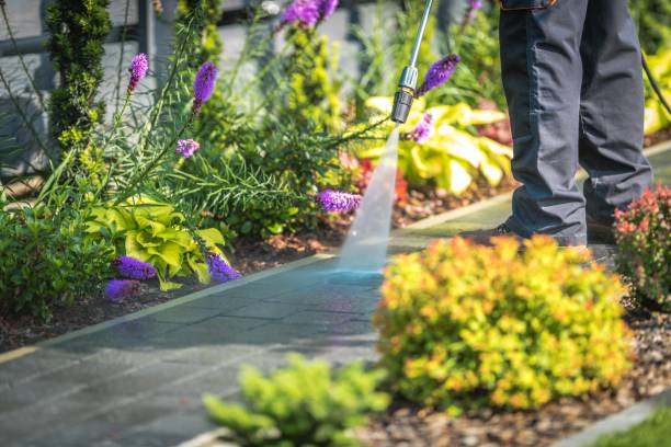 Best Animal Enclosure Cleaning  in Rankin, TX